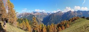 27 Spettacolo di panorami e di larici colorati d'autunno